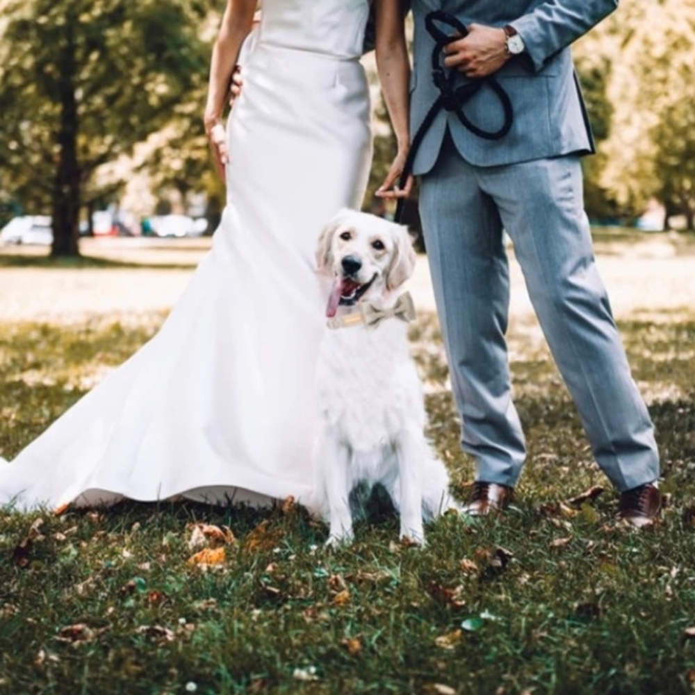 *Unique Style Paws SOFT SILK COLLECTION WEDDING CHAMPAGNE COLLAR BOWTIE & LEASH